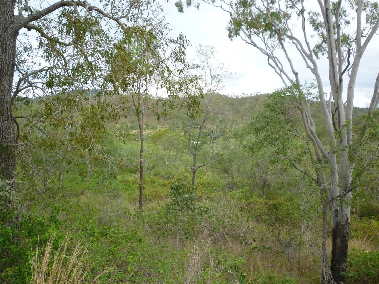 151 Beverley Road, Rosanna, Rosanna - Thumbnail 7