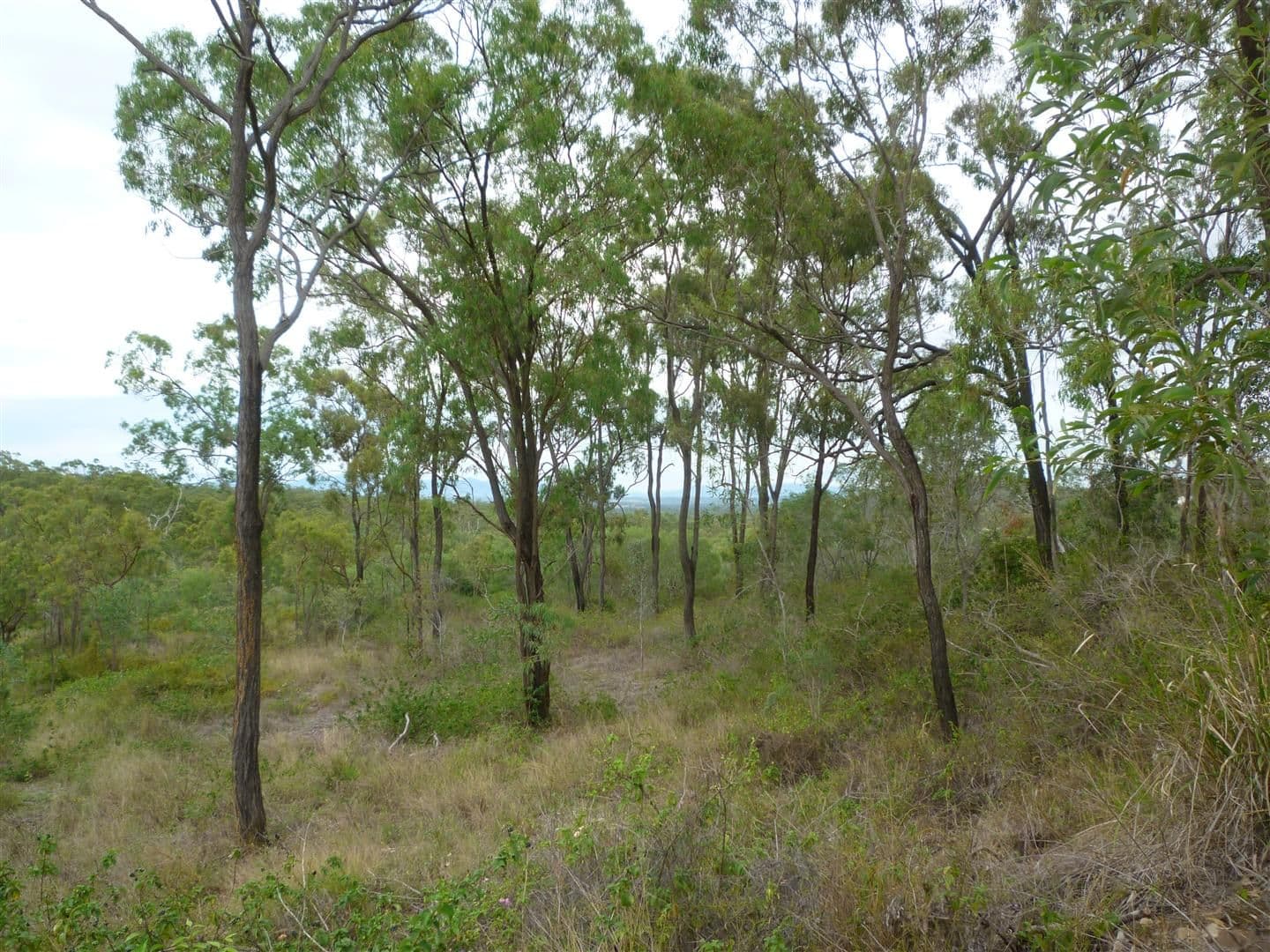 151 Beverley Road, Rosanna, Rosanna - Thumbnail 8