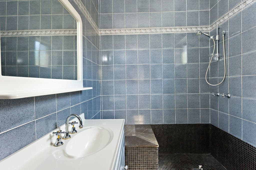 58 Park Road, Marrickville - Thumbnail 4