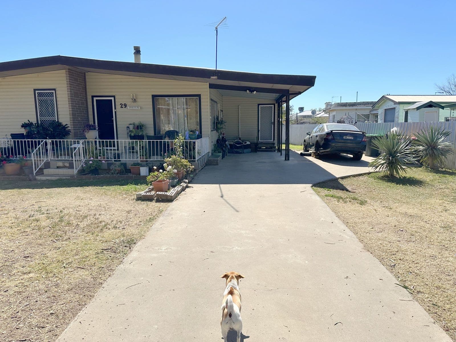 29 Carol Avenue, Moree NSW 2400, Moree - Thumbnail 5