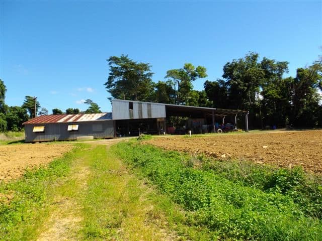 Lot 364 Mission Beach Road, MISSION BEACH QLD 4852, Mission Beach - Image 1