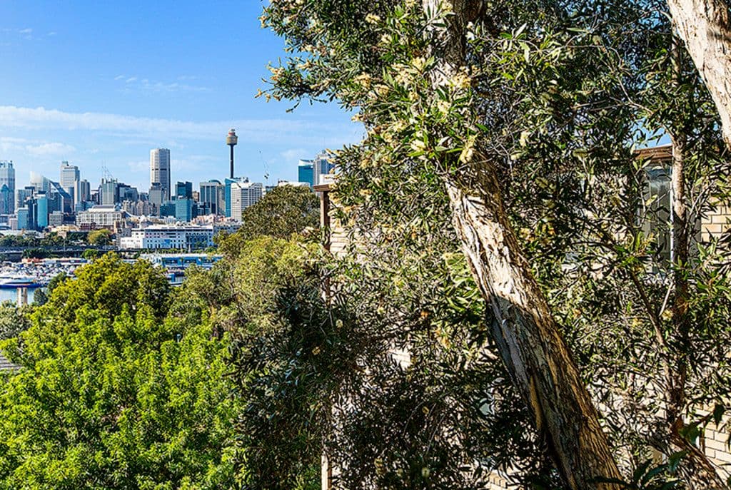 8 Avona Avenue, Glebe NSW 2037, Glebe - Thumbnail 2