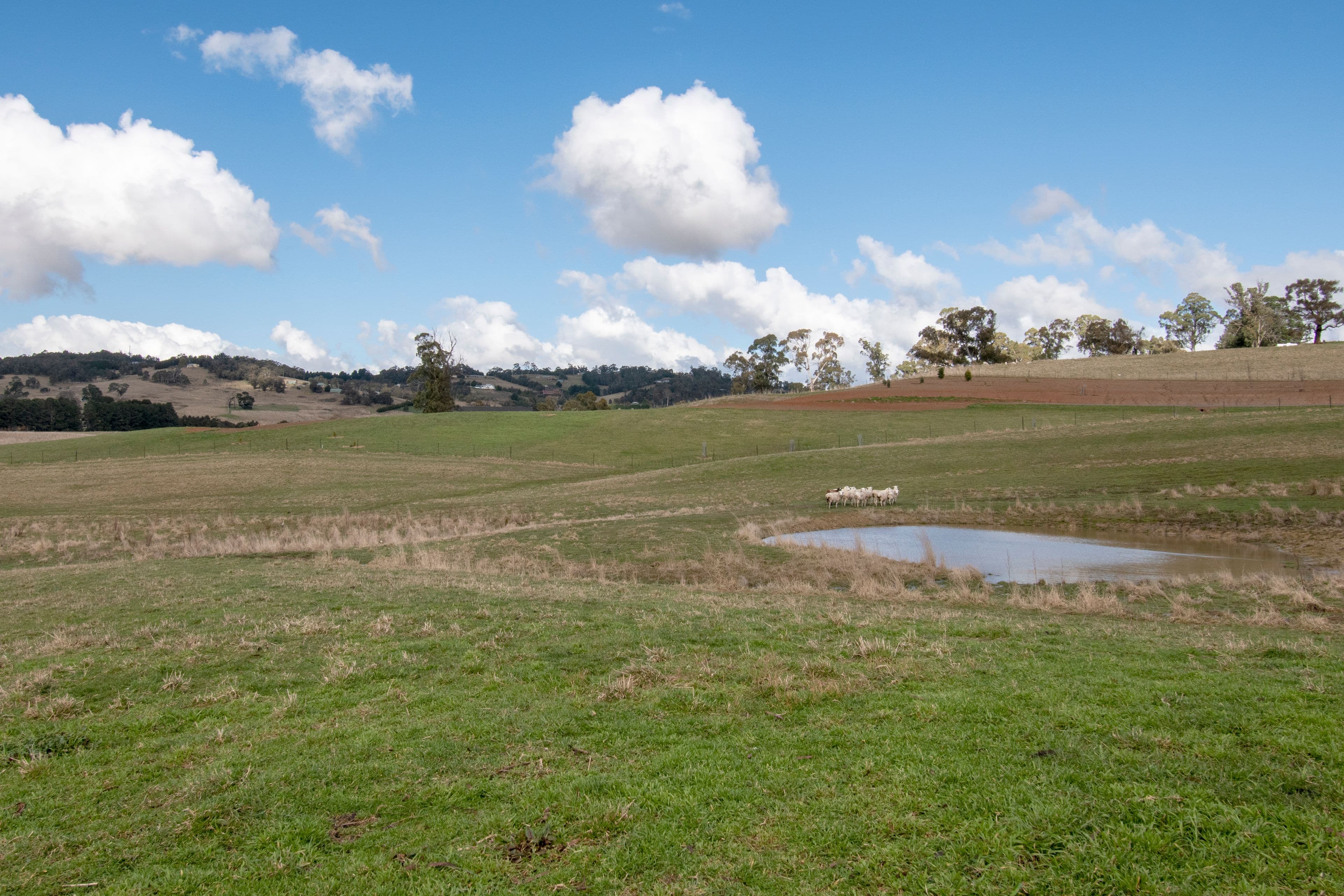 6 Mcmahon Court, Oberon NSW 2787, Oberon - Thumbnail 4