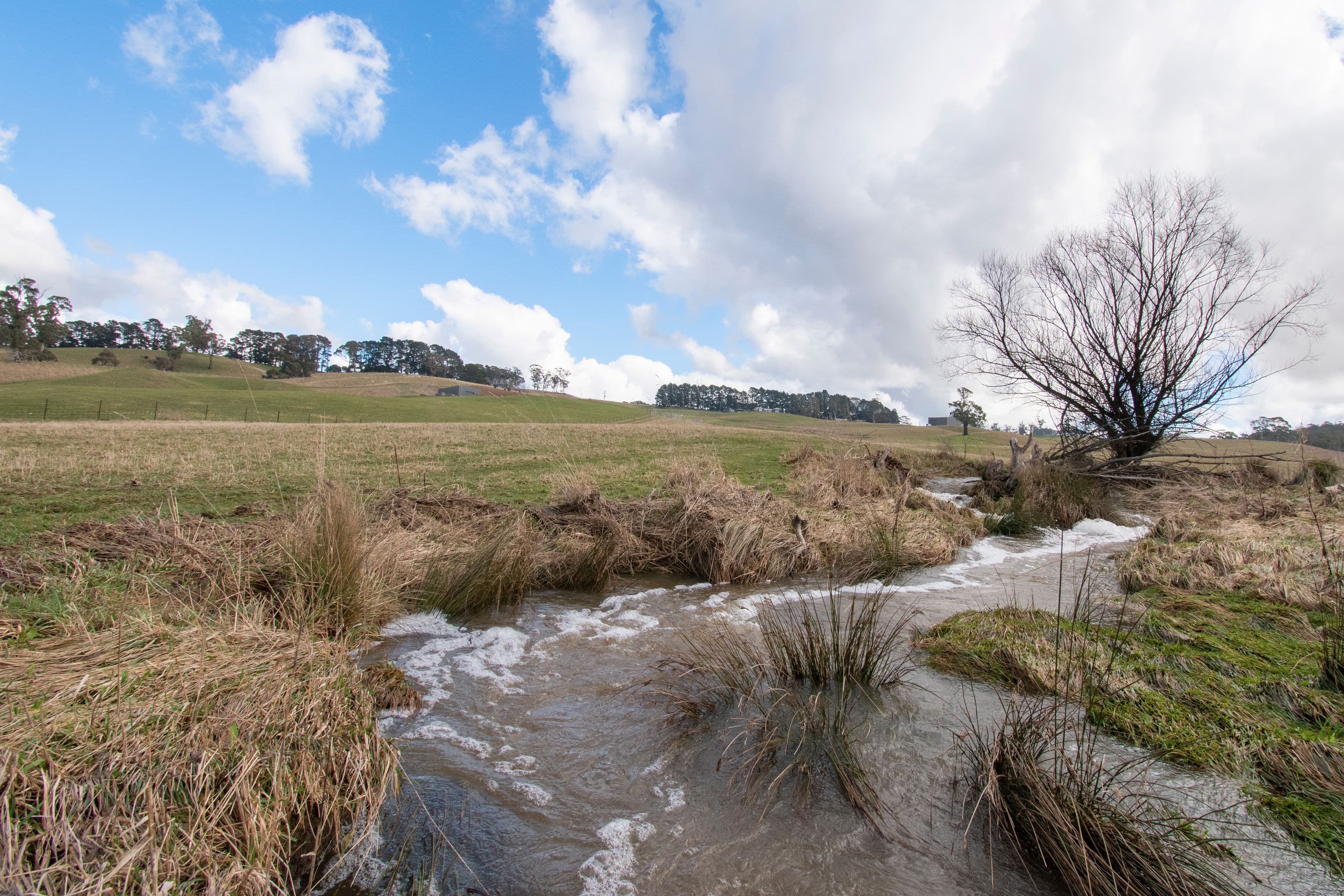 6 Mcmahon Court, Oberon NSW 2787, Oberon - Thumbnail 6