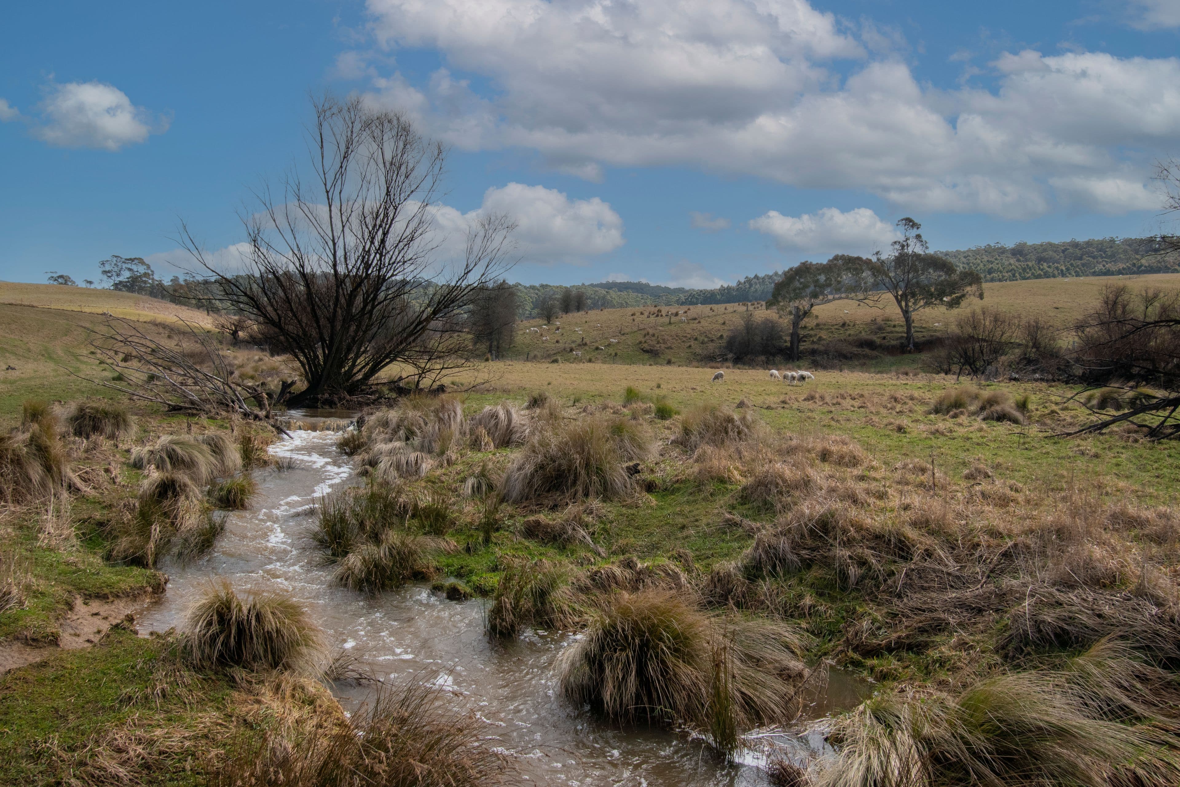 6 Mcmahon Court, Oberon NSW 2787, Oberon - Thumbnail 8