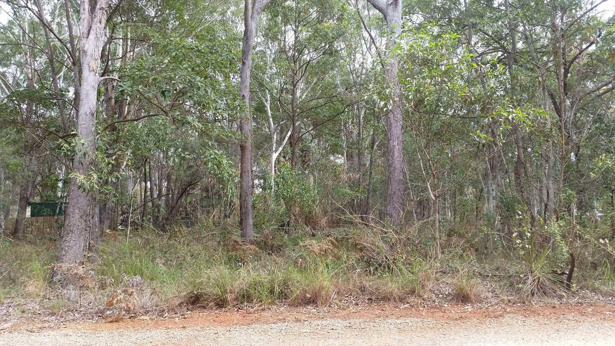 9 Belgrave Road, Russell Island QLD 4184, Russell Island - Thumbnail 2