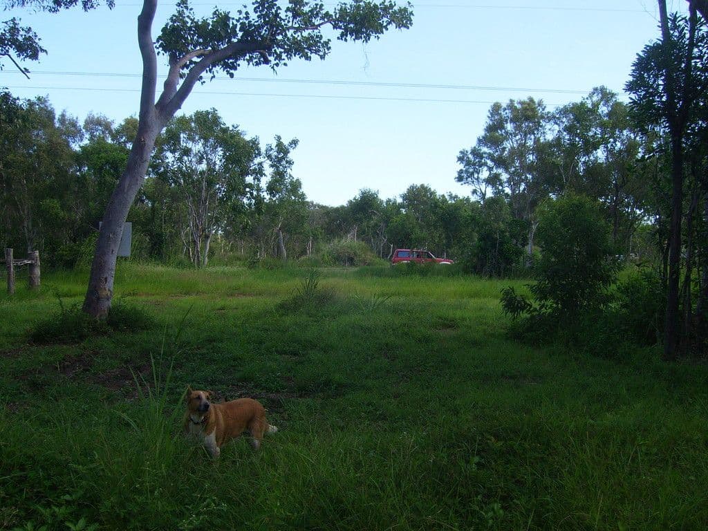 26 Starcke Street, Cooktown QLD 4895, Cooktown - Image 1