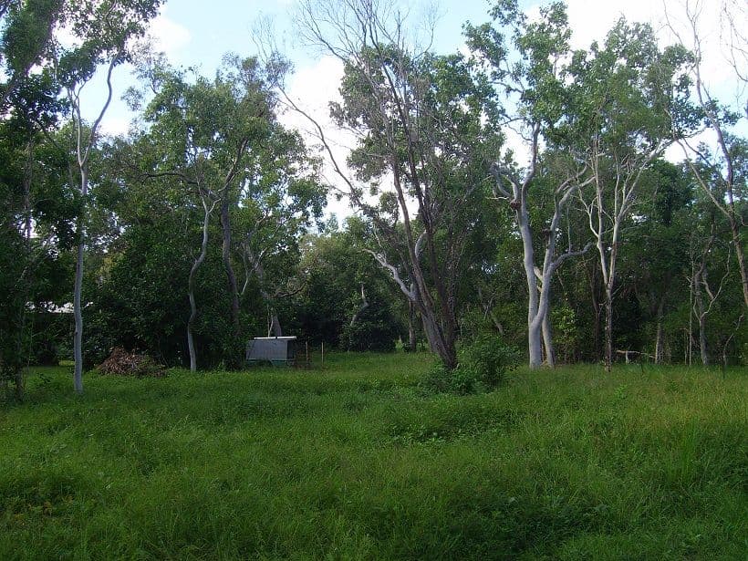 26 Starcke Street, Cooktown QLD 4895, Cooktown - Thumbnail 2
