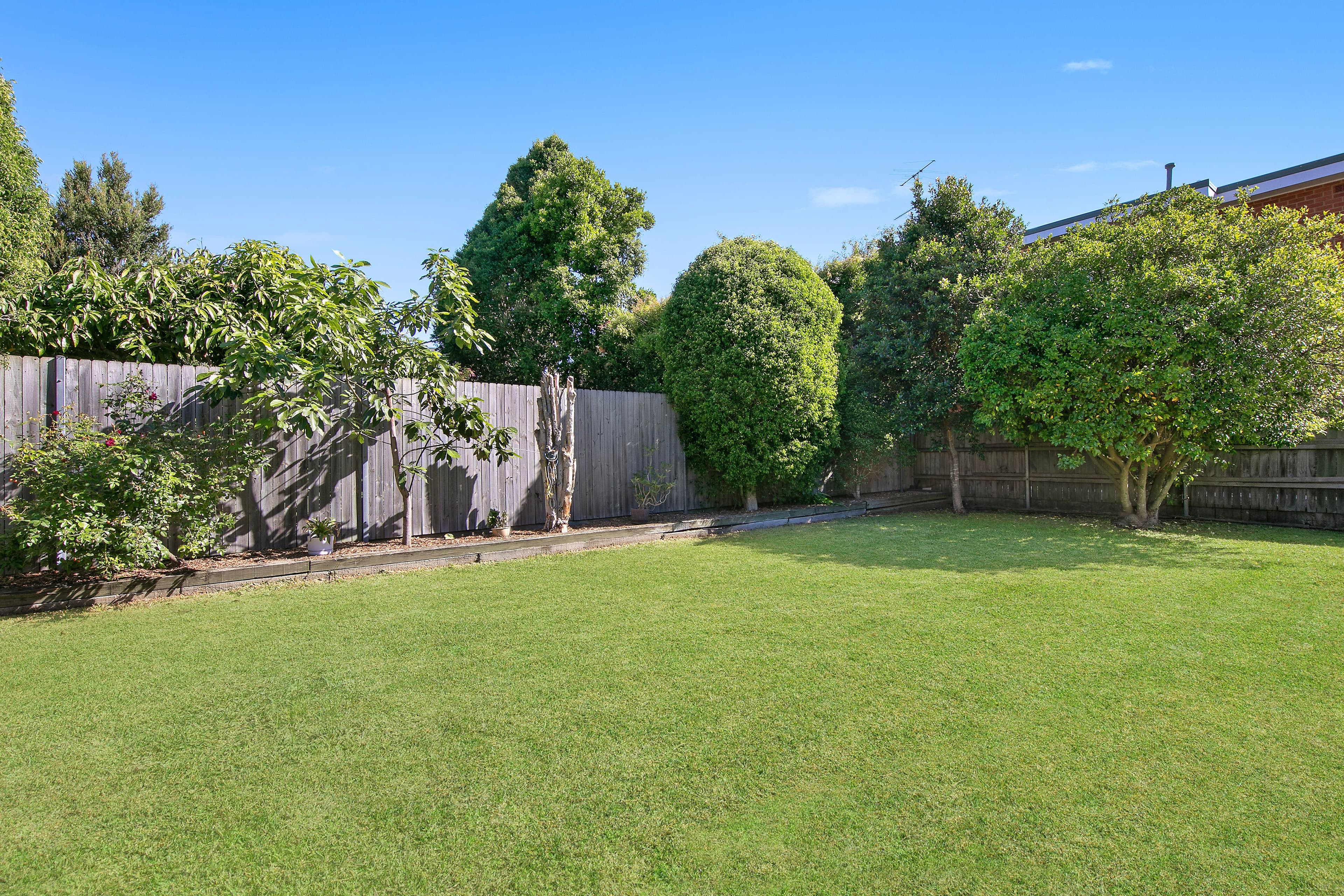 12 Rowe Street, Freshwater NSW 2096, Freshwater - Thumbnail 5