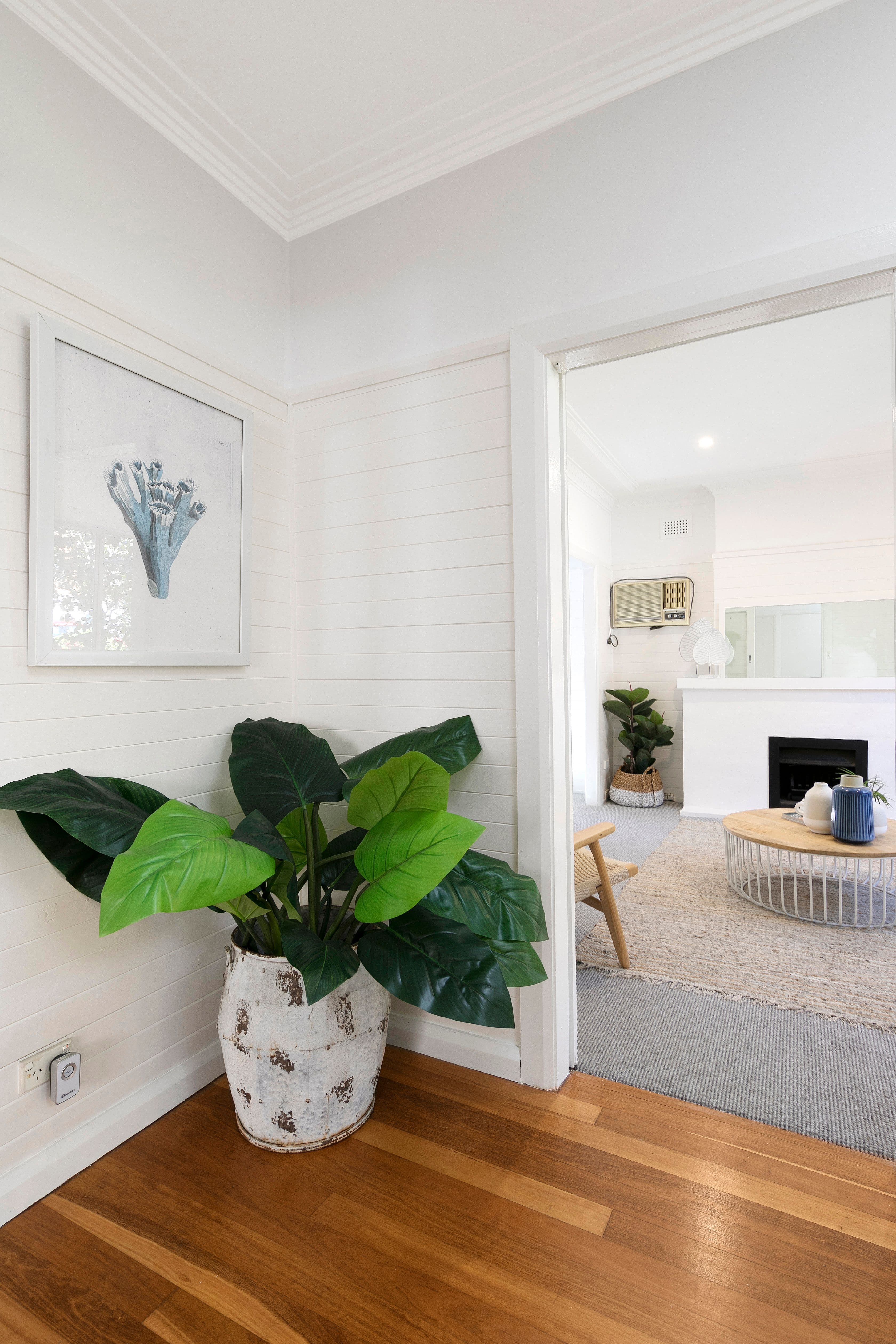 12 Rowe Street, Freshwater NSW 2096, Freshwater - Thumbnail 8