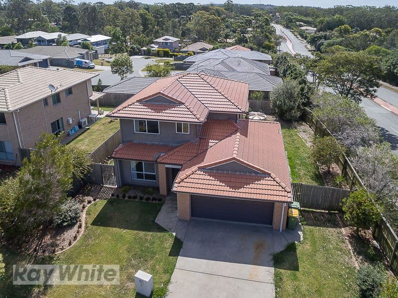 8 Lizard Place, Redland Bay QLD 4165, Redland Bay - Thumbnail 5