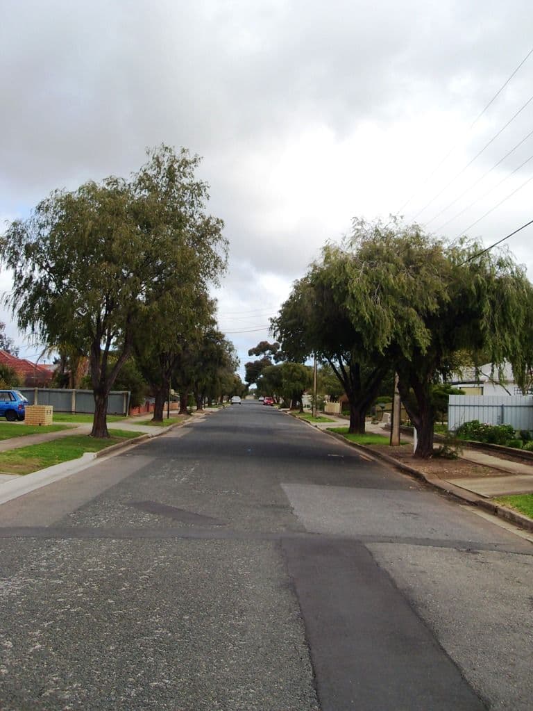 23 Orlando Avenue, HAMPSTEAD GARDENS SA 5086, Hampstead Gardens - Thumbnail 3
