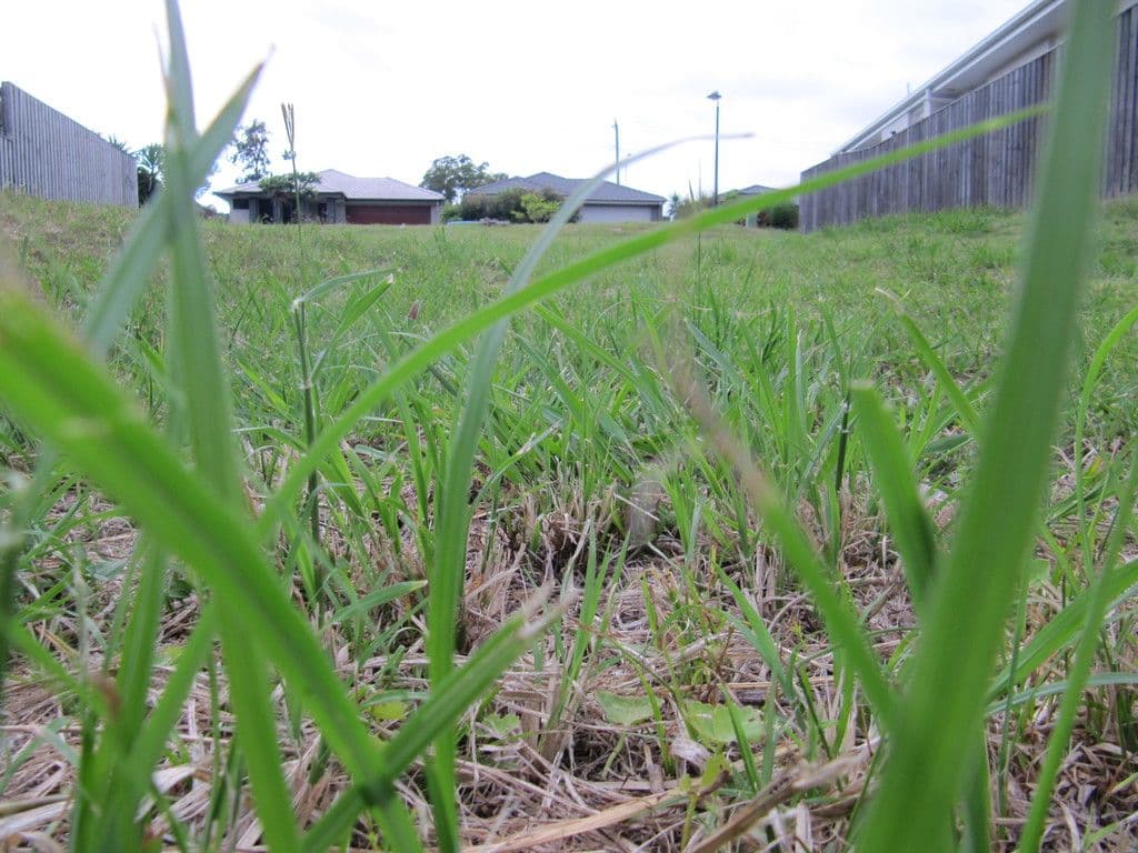 5 Wildflower Circuit, Upper Coomera QLD 4209, Upper Coomera - Image 1