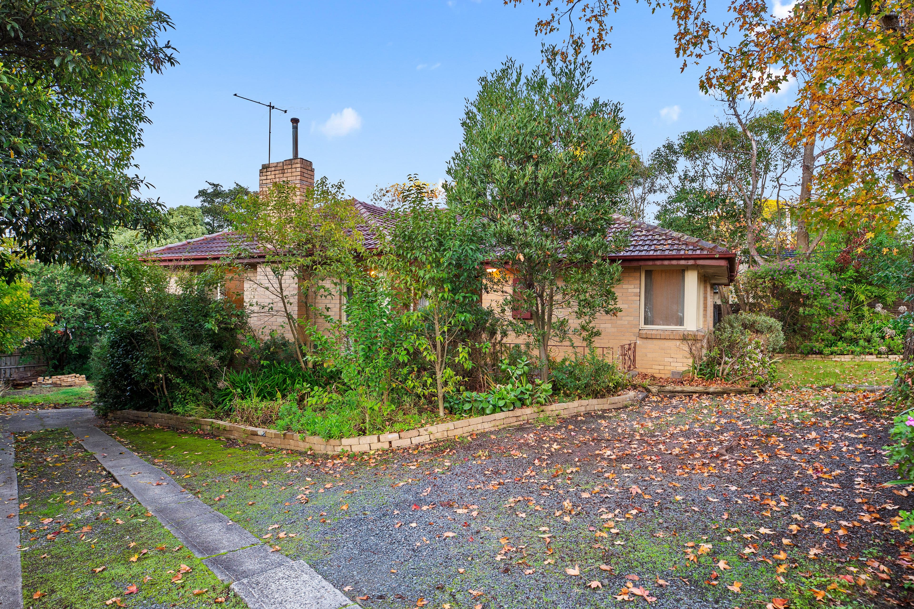 11 New Street, Boronia VIC 3155, Boronia - Thumbnail 2
