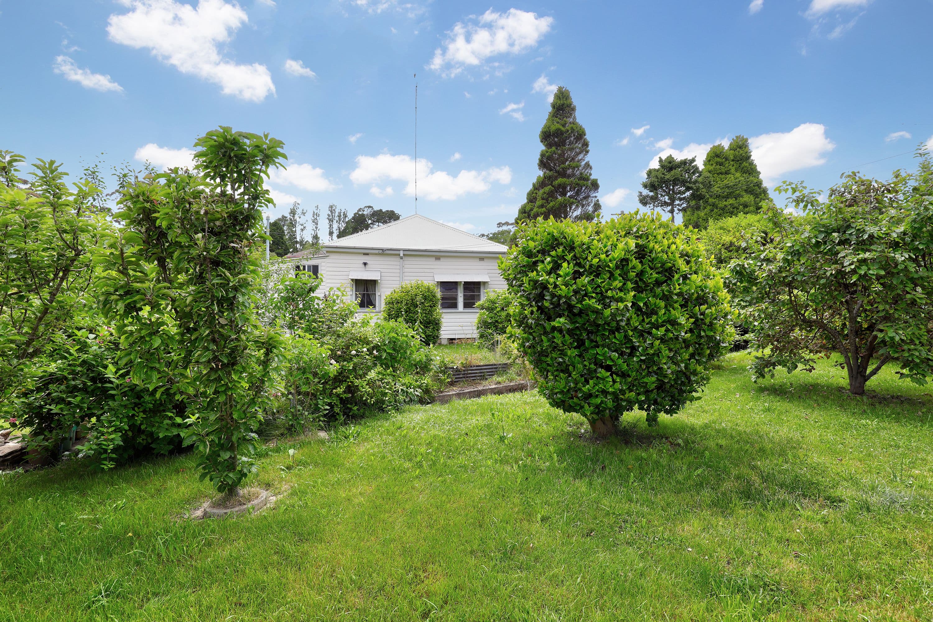 15 Edwin Lane, Katoomba NSW 2780, Katoomba - Thumbnail 8