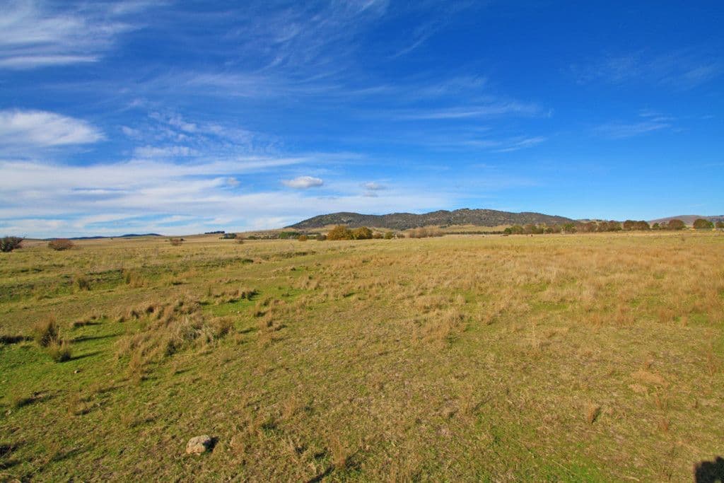22 Mecca Lane, Bungendore NSW 2621, Bungendore - Thumbnail 4