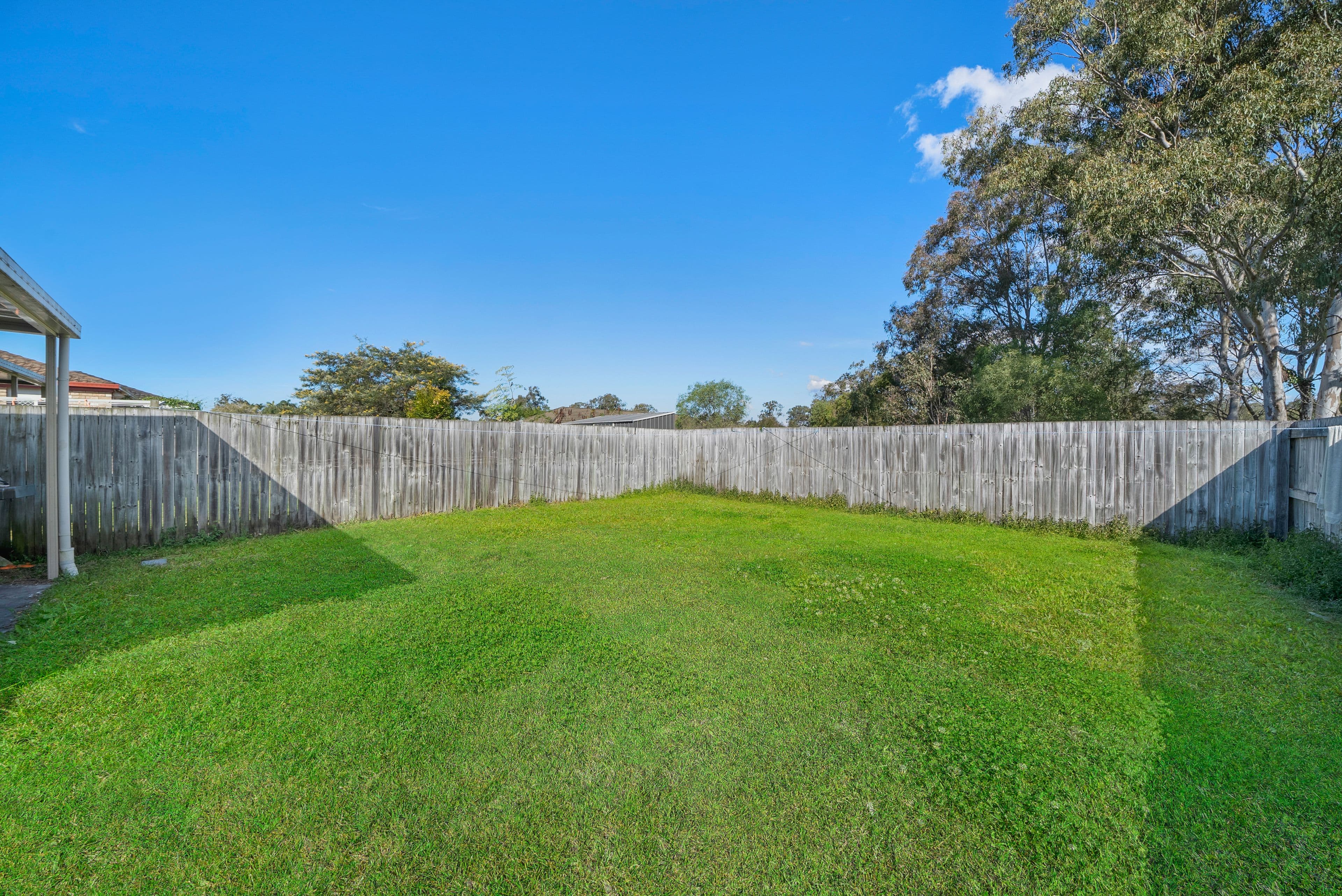 31 Greene Street, Rothwell QLD 4022, Rothwell - Thumbnail 5
