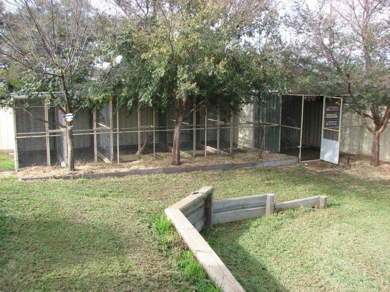 "Amiens" Wandary Lane, FORBES NSW 2871, Forbes - Thumbnail 7