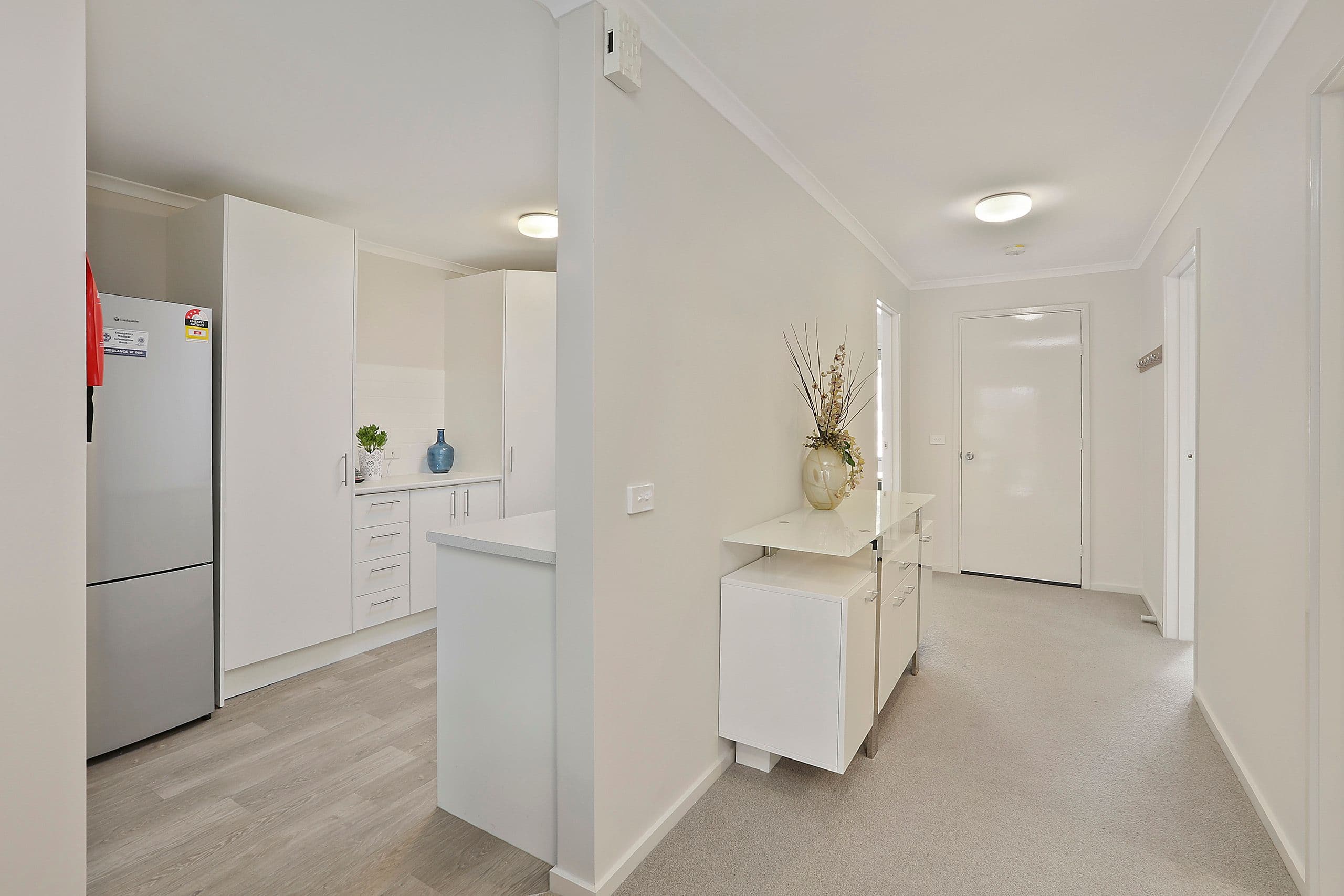 45 Vanessa Avenue, Highton VIC 3216, Highton - Thumbnail 8