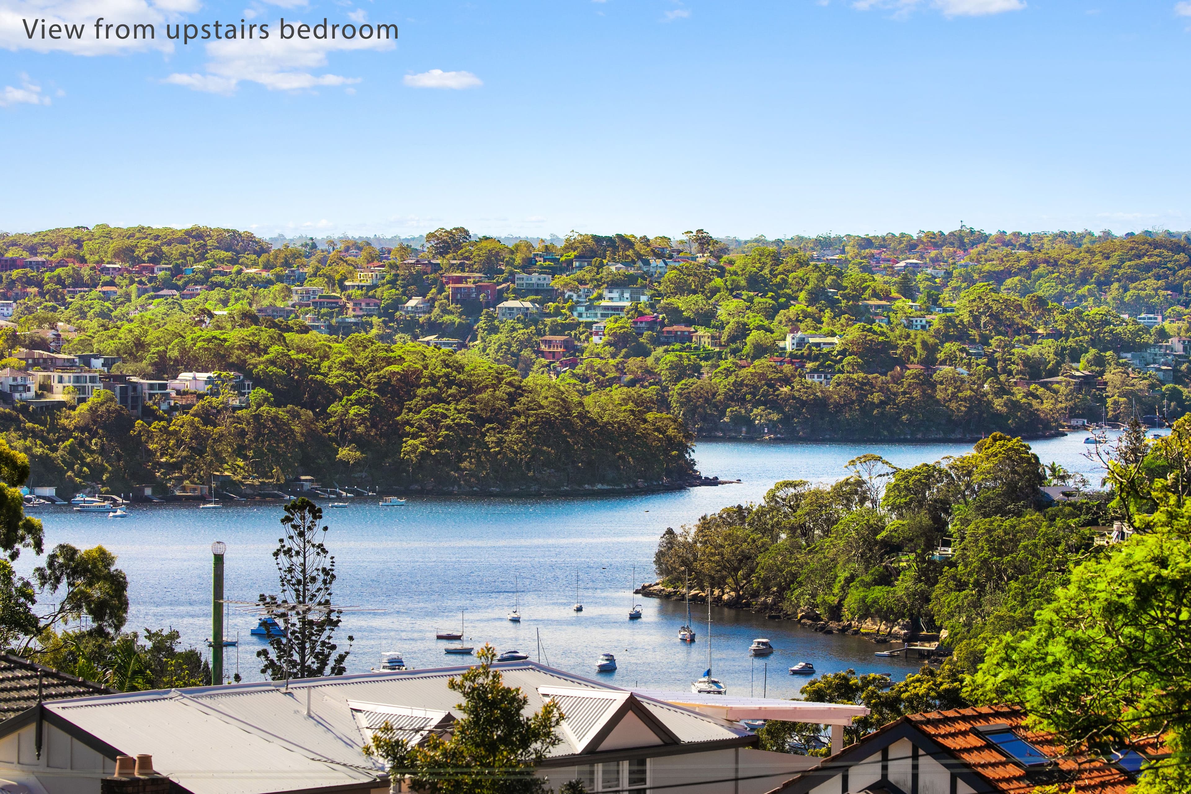 74 Awaba Street, Mosman NSW 2088, Mosman - Thumbnail 3