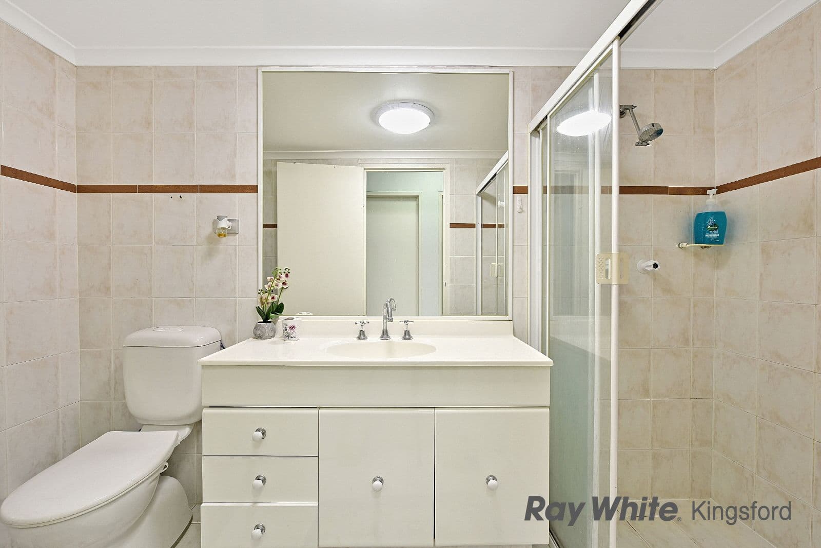 79 Boyce Road, Maroubra NSW 2035, Maroubra - Thumbnail 3