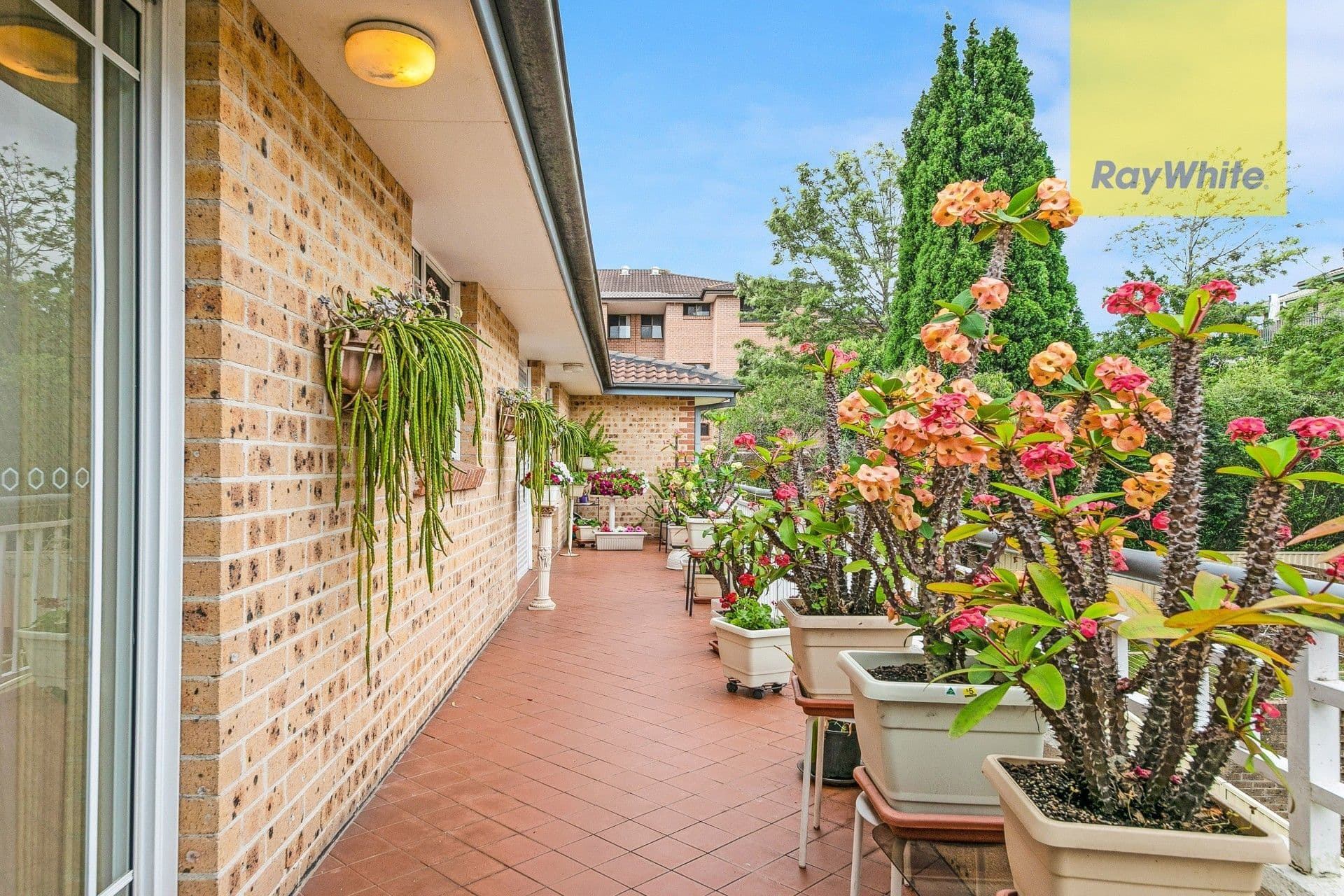 53 Windsor Road, Merrylands NSW 2160, Merrylands - Thumbnail 2