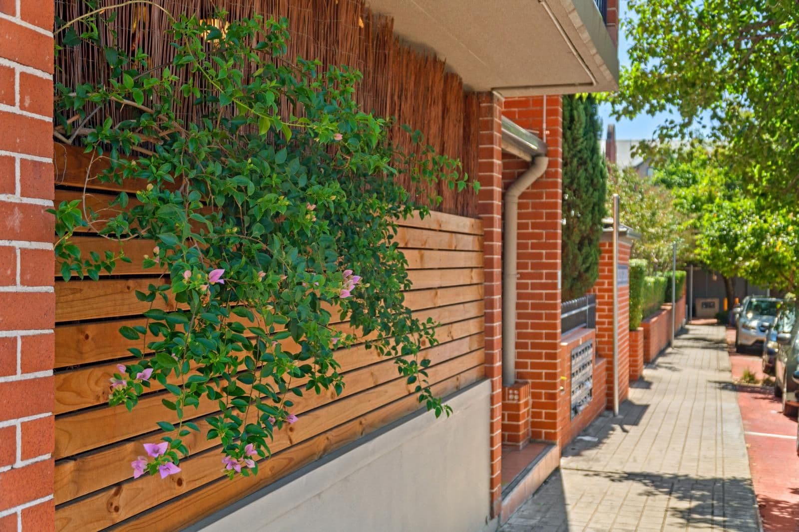350-352 Liverpool Road, Ashfield NSW 2131, Ashfield - Thumbnail 6