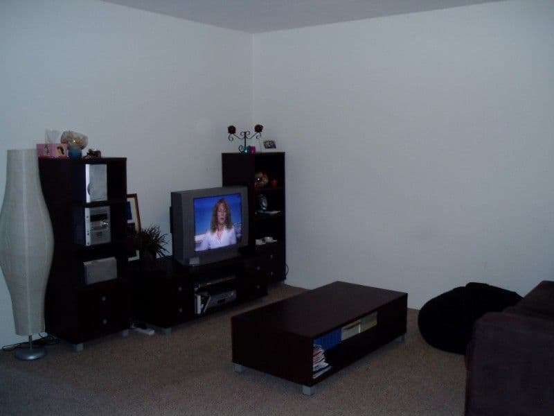 185 Fredrick Street, ASHFIELD NSW 2131, Ashfield - Thumbnail 2