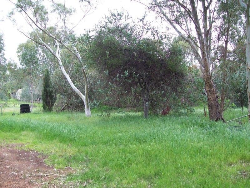 14 Bonewood Court, BECKENHAM WA 6107, Beckenham - Thumbnail 6