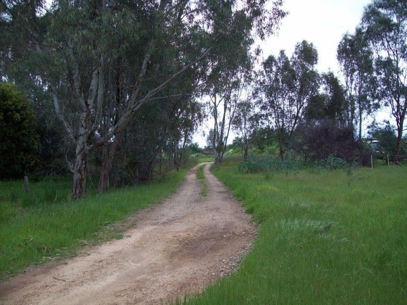 14 Bonewood Court, BECKENHAM WA 6107, Beckenham - Thumbnail 7