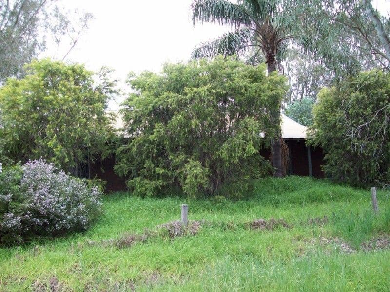 14 Bonewood Court, BECKENHAM WA 6107, Beckenham - Thumbnail 8