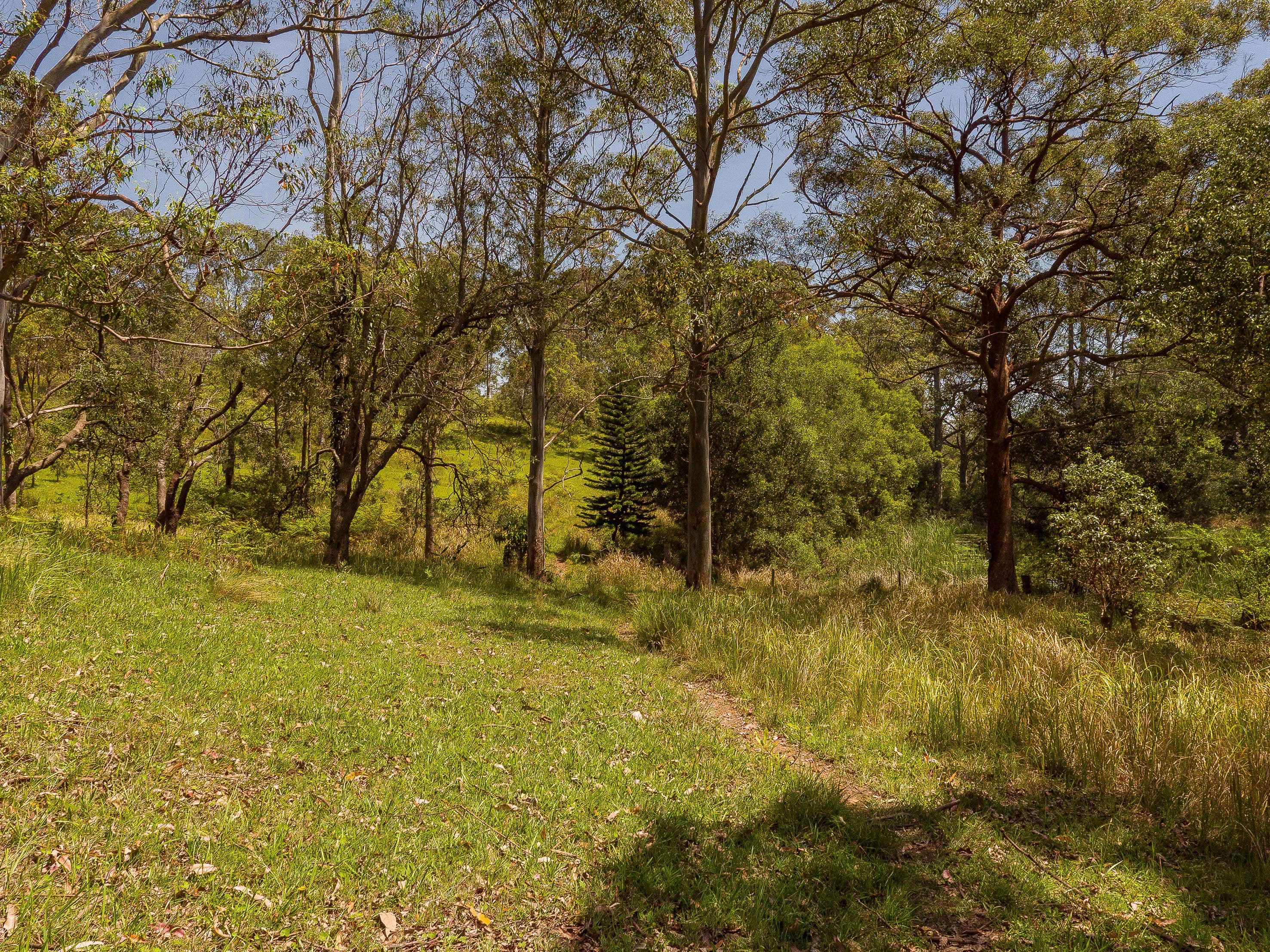 L3 Mount Mee Road, Ocean View QLD 4521, Ocean View - Thumbnail 5