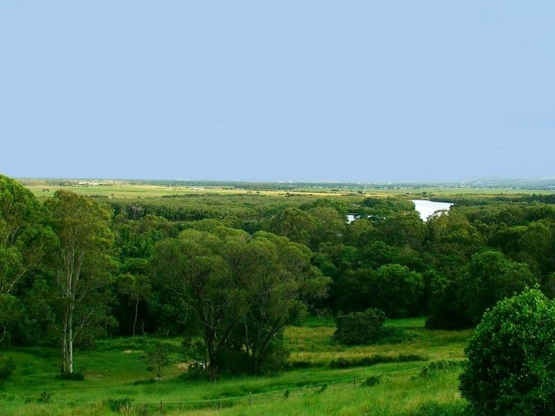 58 Twin Peaks Road, BLI BLI QLD 4560, Bli Bli - Thumbnail 2