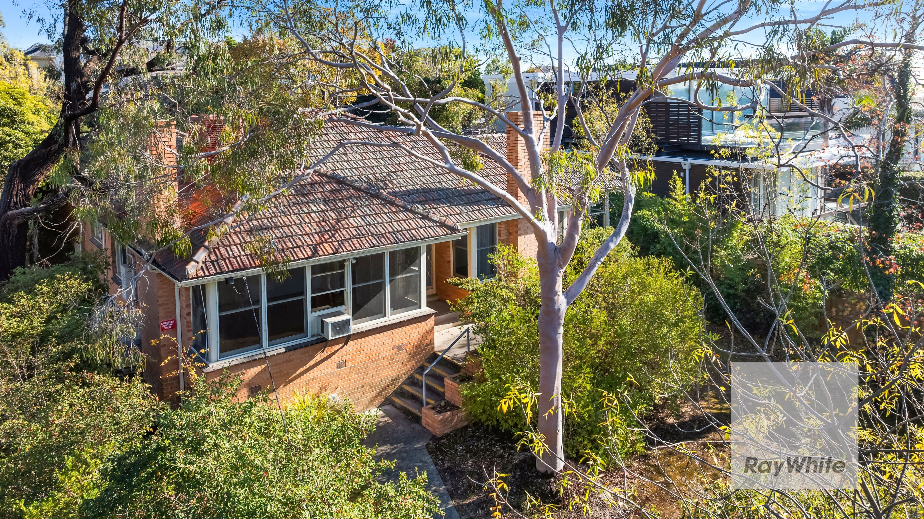 16 Robert Street, Balwyn North VIC 3104, Balwyn North - Thumbnail 4