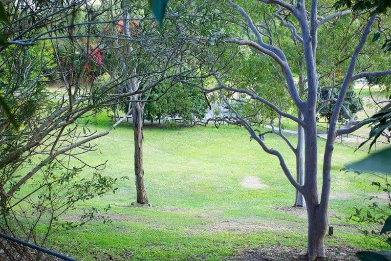 53 Davies Road, ASHGROVE QLD 4060, Ashgrove - Thumbnail 6