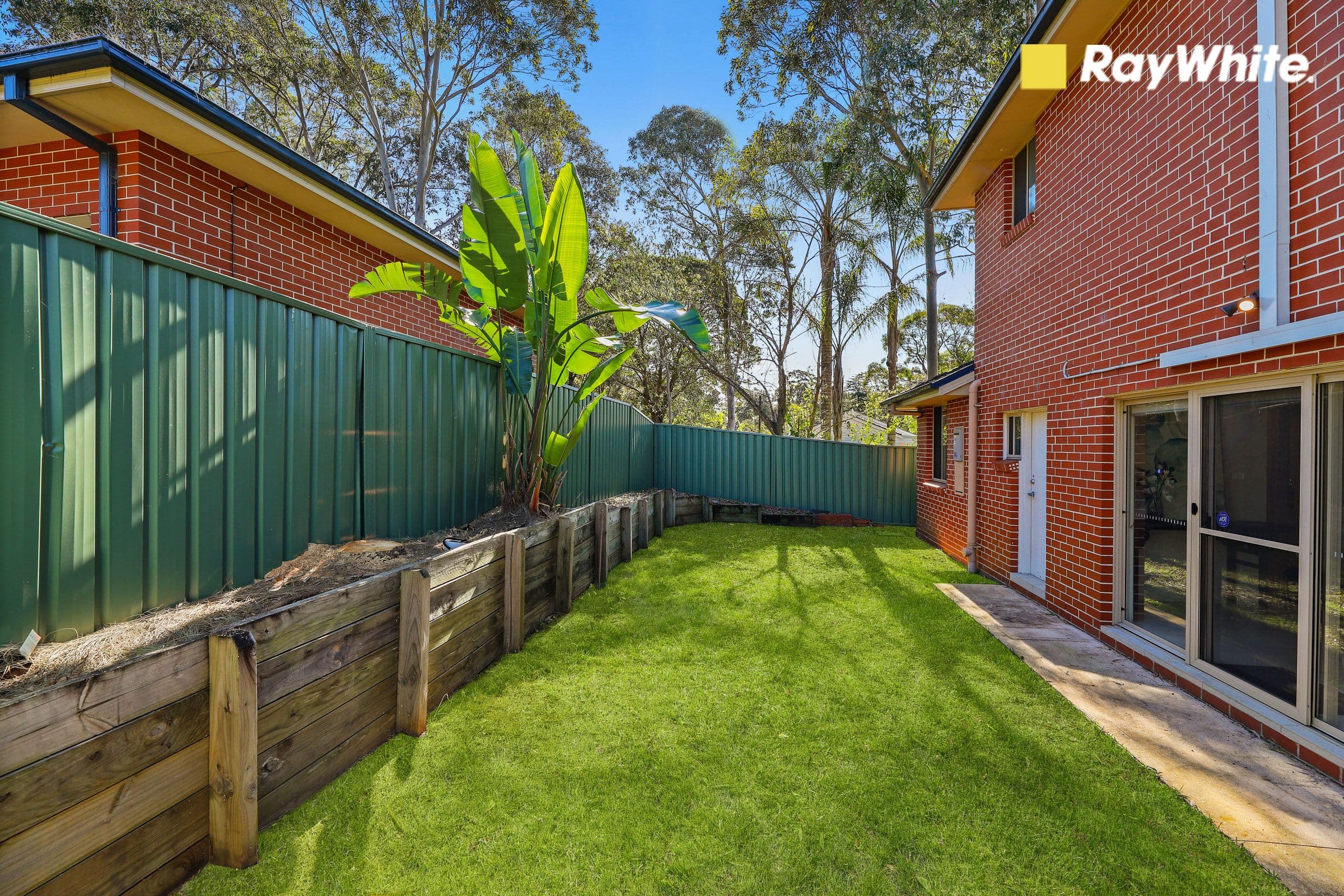 59 Castle Street, Castle Hill NSW 2154, Castle Hill - Thumbnail 6