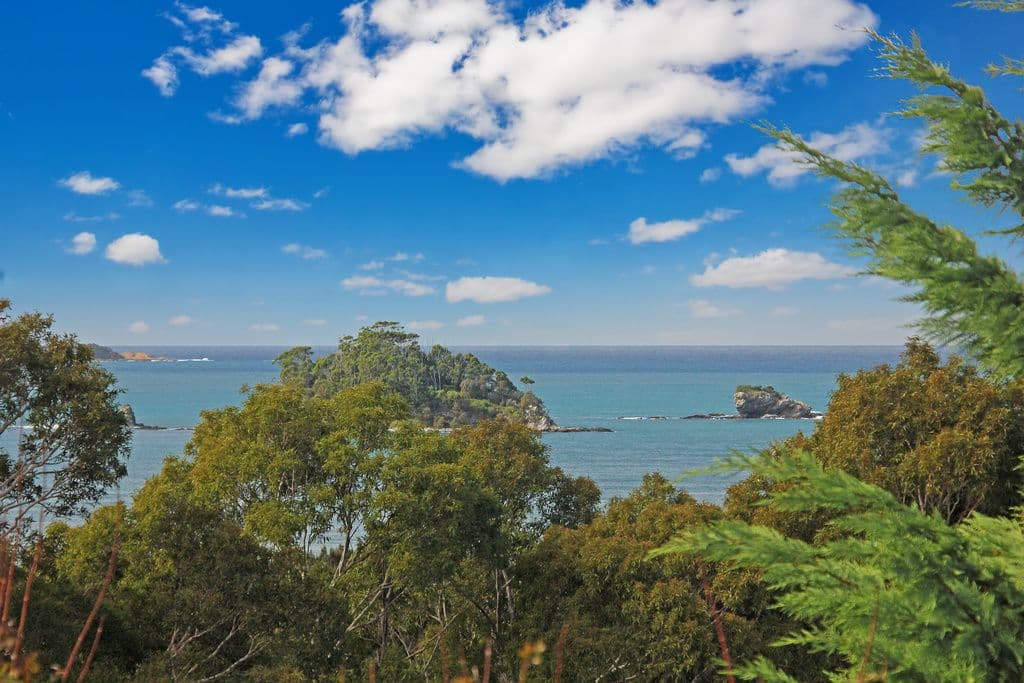 31 Ridge Street, Catalina NSW 2536, Catalina - Thumbnail 2