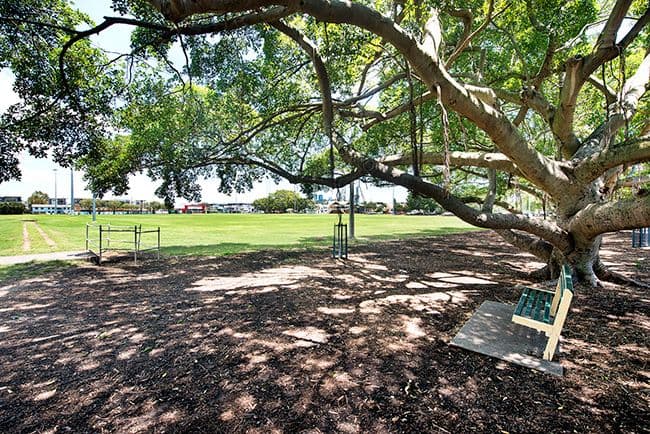 44 Princess Street, Bulimba QLD 4171, Bulimba - Thumbnail 7
