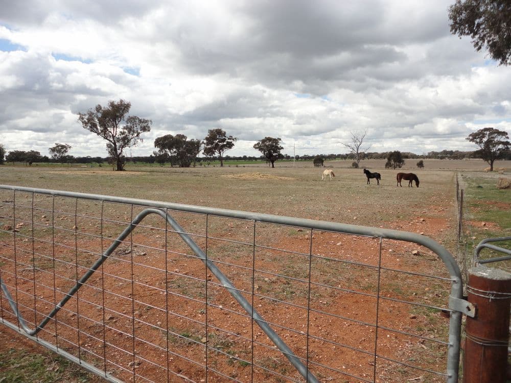 4 Harrier Street, TEMORA NSW 2666, Temora - Image 1