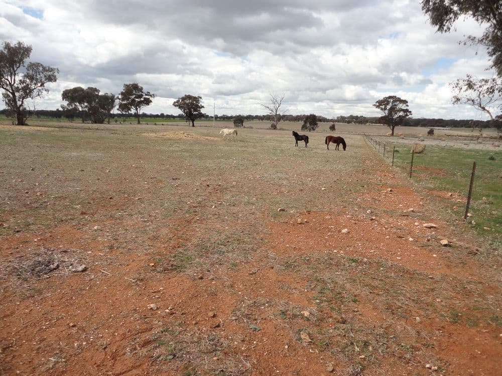 4 Harrier Street, TEMORA NSW 2666, Temora - Thumbnail 2
