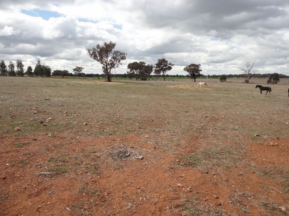 4 Harrier Street, TEMORA NSW 2666, Temora - Thumbnail 3