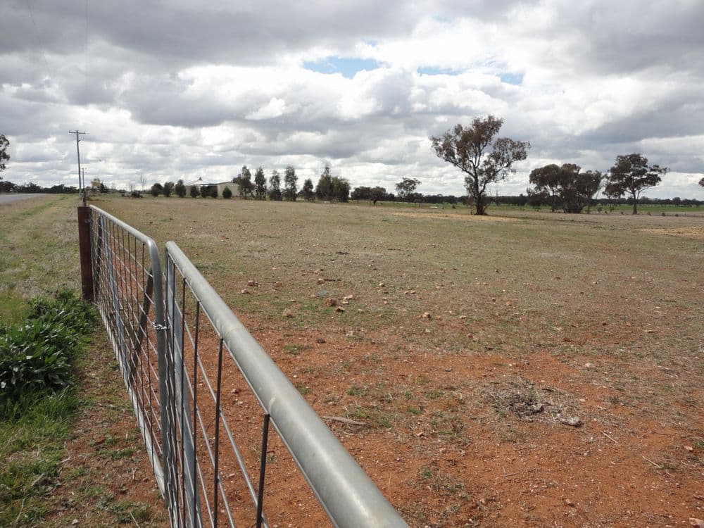 4 Harrier Street, TEMORA NSW 2666, Temora - Thumbnail 4