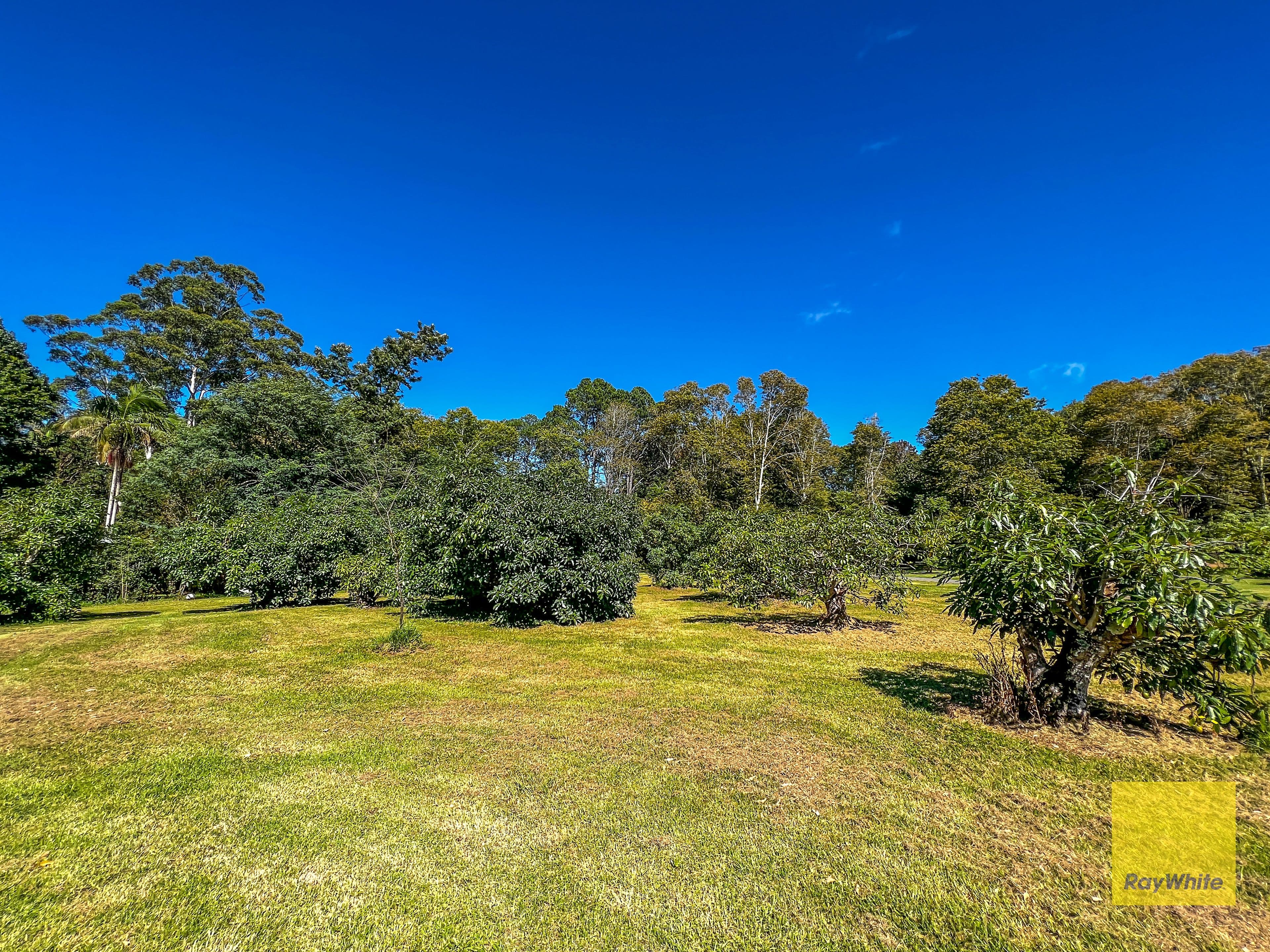 2-12 Cliff Road, Tamborine Mountain QLD 4272, Tamborine Mountain - Thumbnail 4