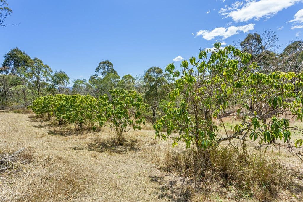 42 Range Crescent, Laidley QLD 4341, Laidley - Thumbnail 5