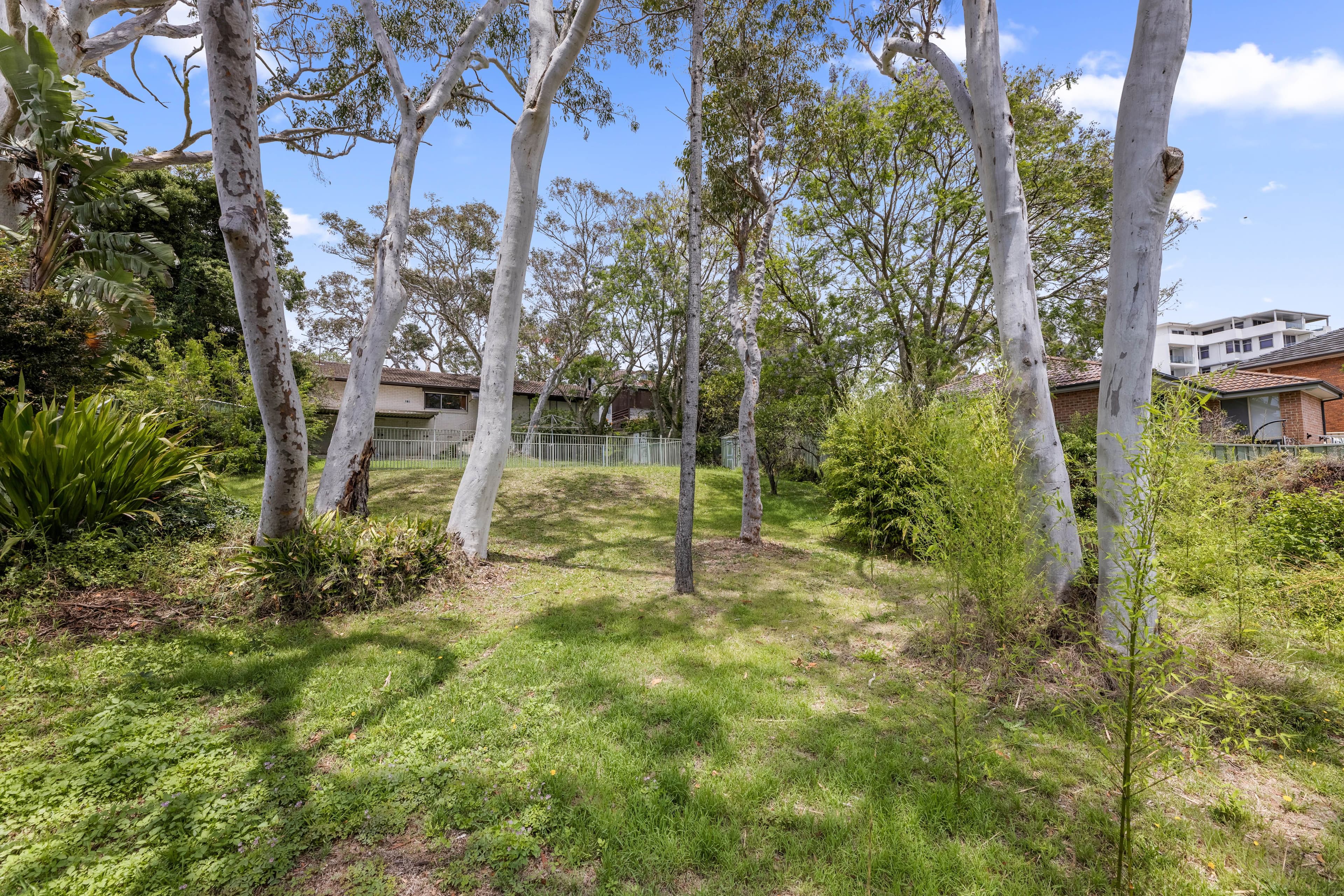 955 Old Princes Highway, Engadine NSW 2233, Engadine - Thumbnail 7