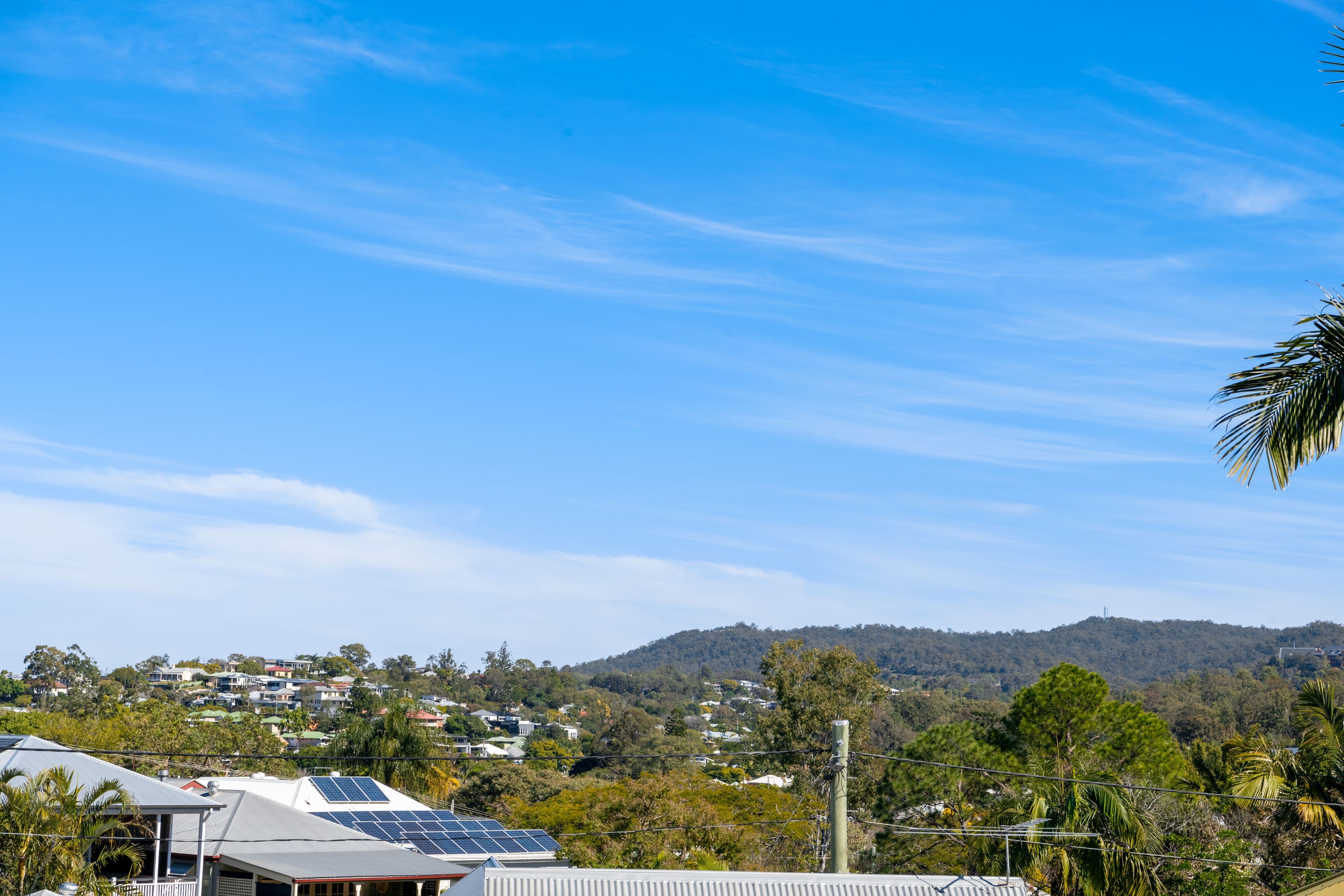 19 Mort Street, Paddington QLD 4064, Paddington - Thumbnail 8