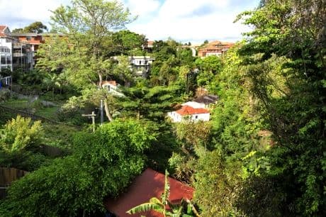 119  Carrington Road, COOGEE NSW 2034, Coogee - Thumbnail 4