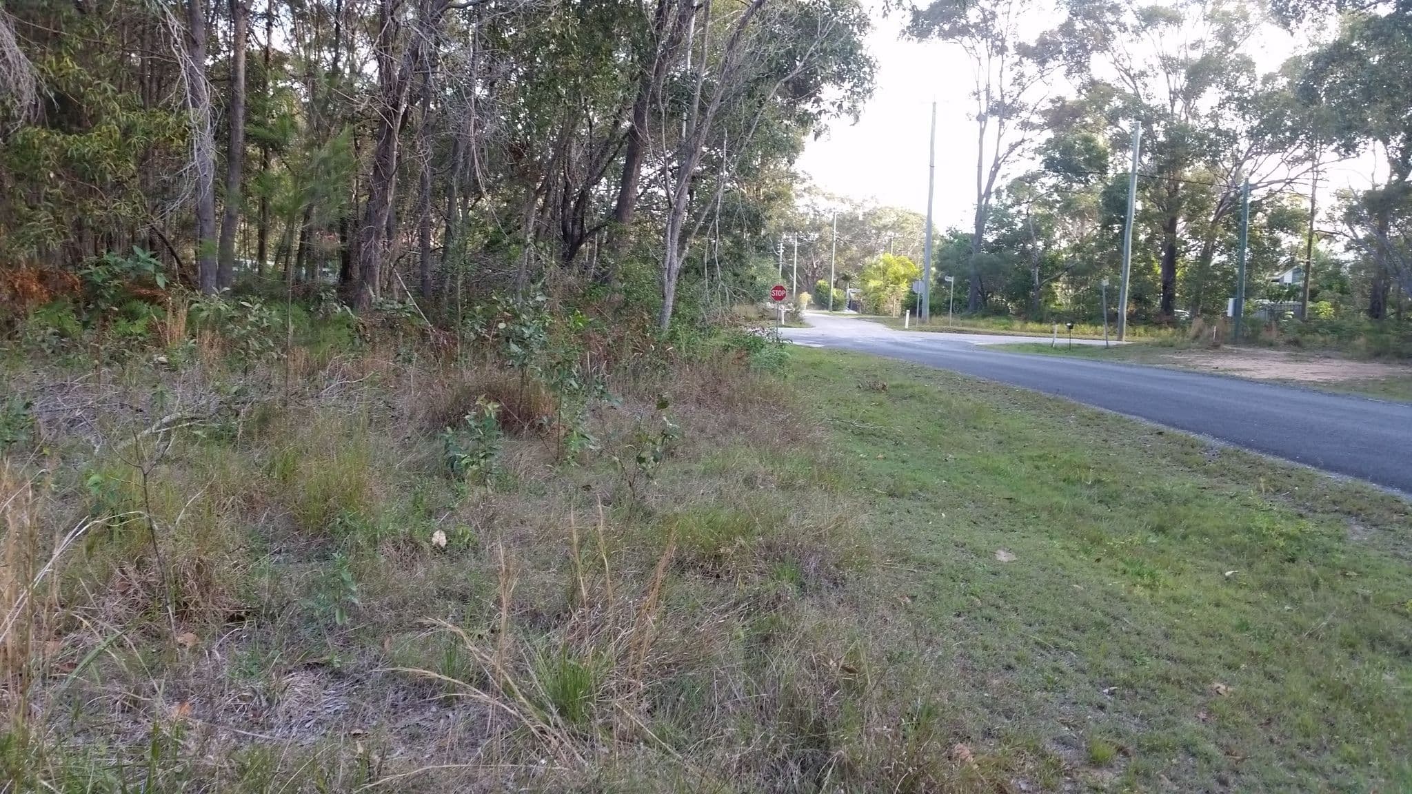 45 Darwallah, Russell Island QLD 4184, Russell Island - Thumbnail 2