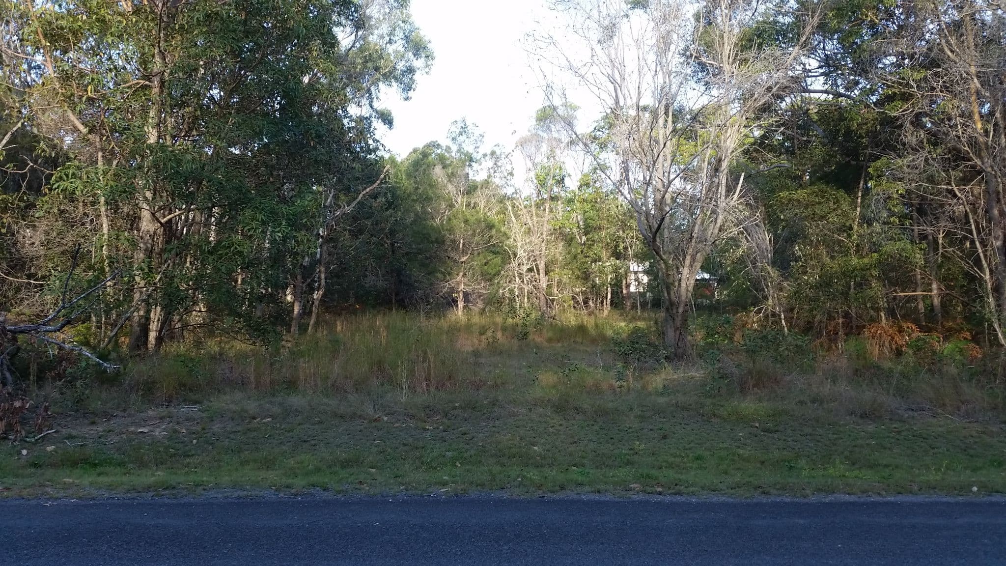 45 Darwallah, Russell Island QLD 4184, Russell Island - Thumbnail 3