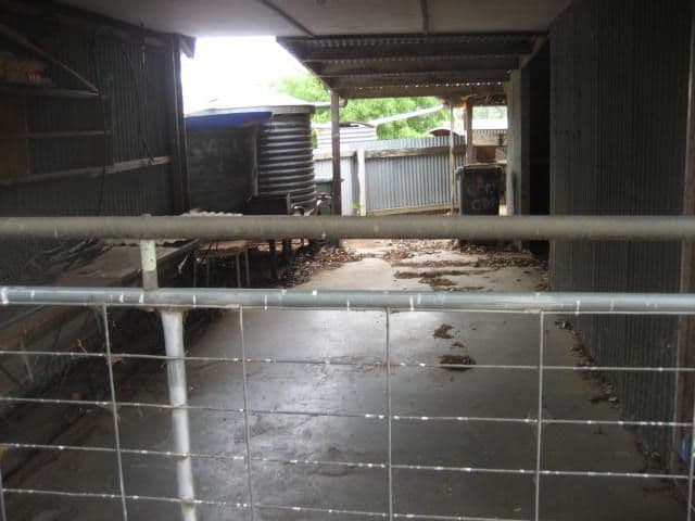 140-142 Michie  Street, ELMORE VIC 3558, Elmore - Thumbnail 4